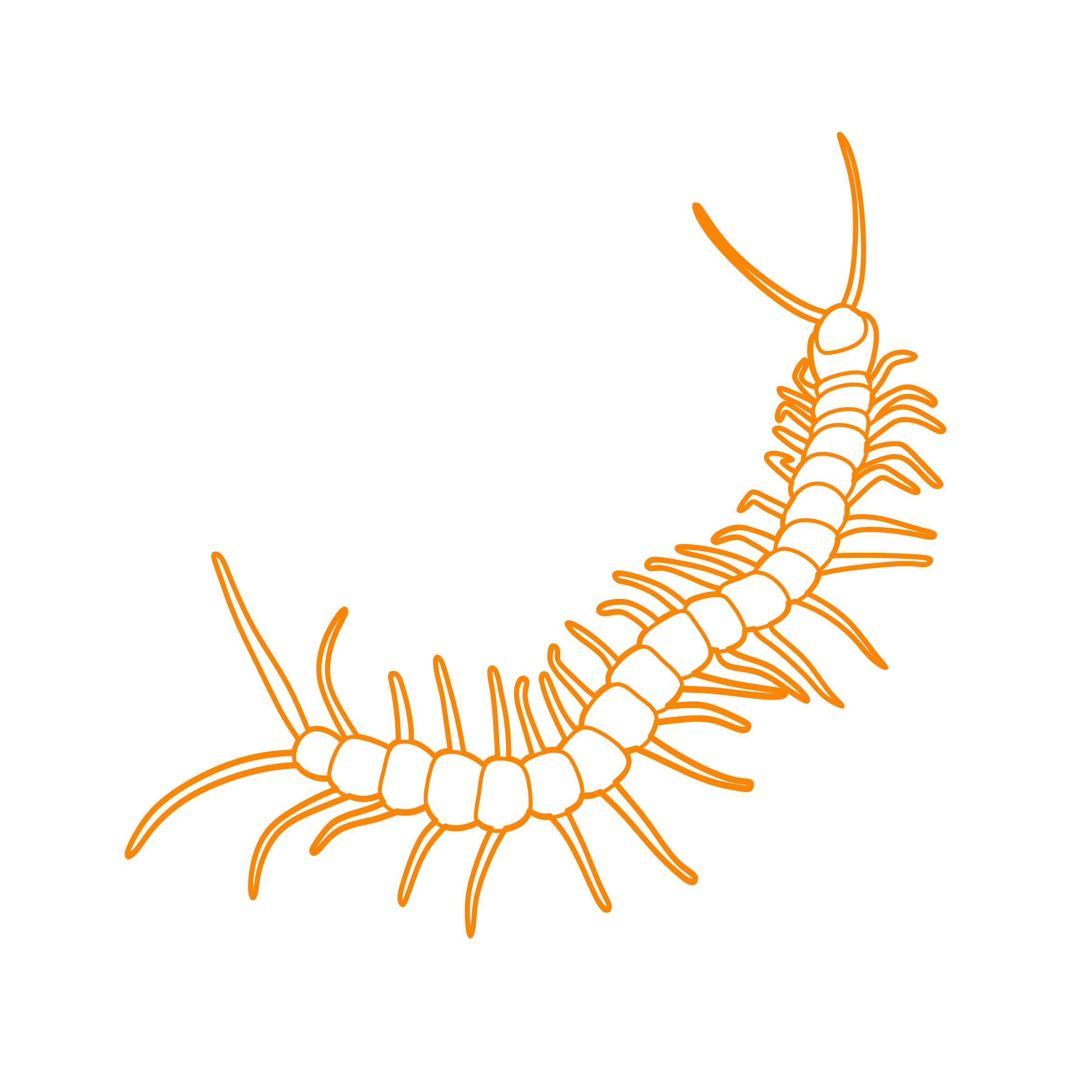 Animals Myriapods Amazonian Giant Centipede Vinyl Cutting Svg File Free Vectors